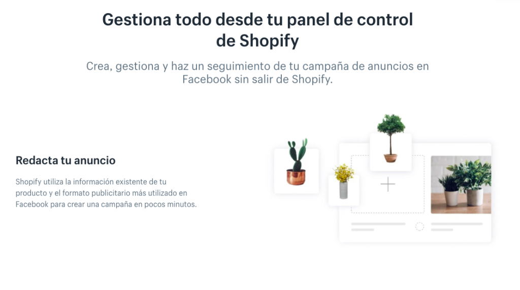 fonctionnalité shopify